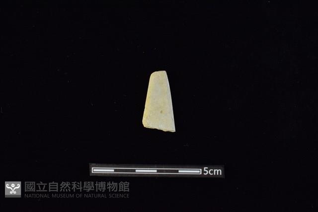 矛鏃形器藏品圖，第1張