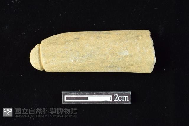 網墜藏品圖，第1張