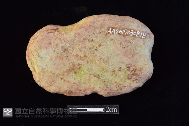 網墜藏品圖，第1張