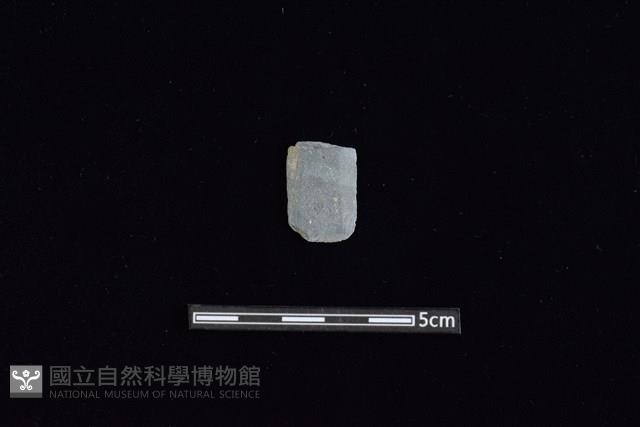 矛鏃形器藏品圖，第1張