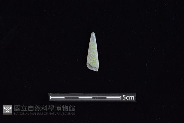 矛鏃形器藏品圖，第1張