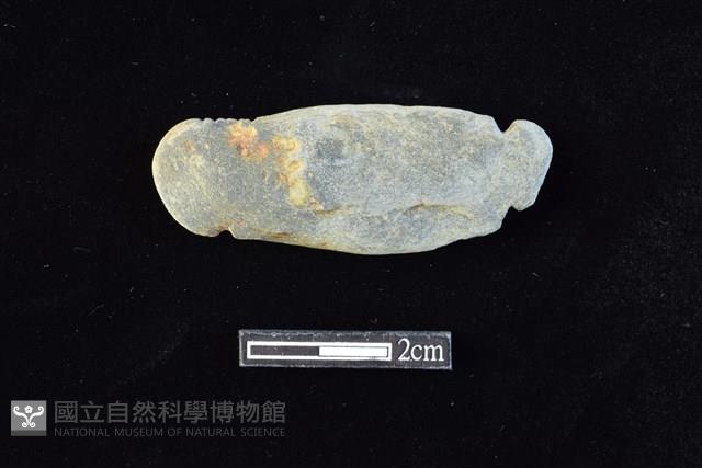 網墜藏品圖，第1張