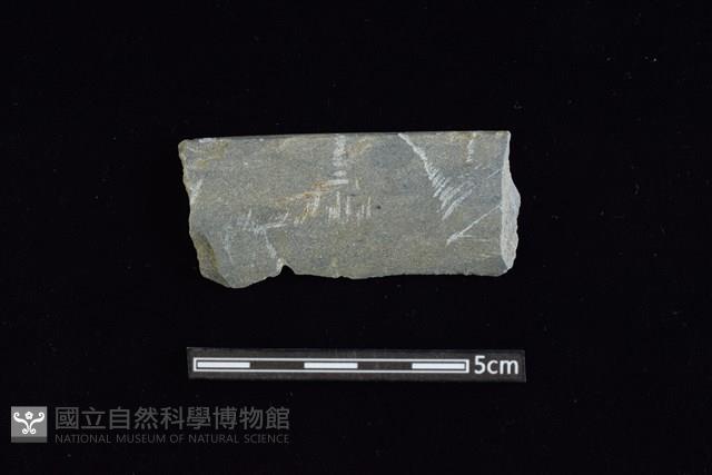 石鐮藏品圖，第1張