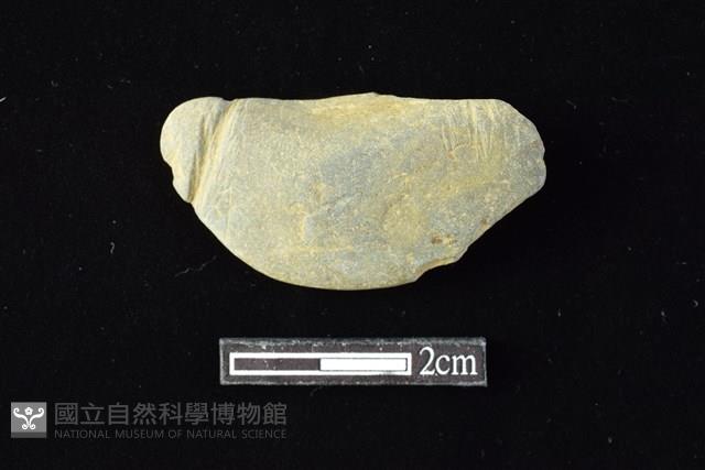 網墜藏品圖，第1張