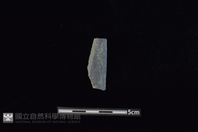 矛鏃形器藏品圖，第1張