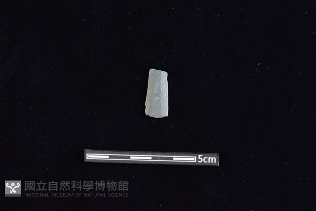 矛鏃形器藏品圖，第1張