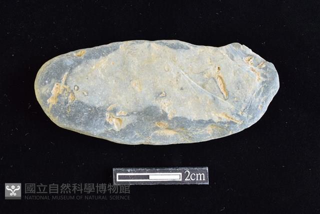 網墜藏品圖，第1張