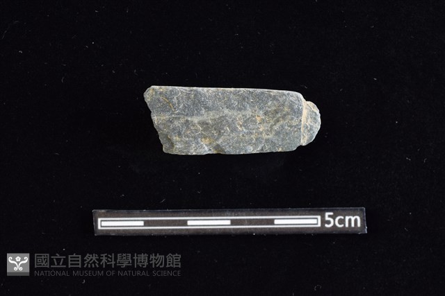 網墜藏品圖，第1張