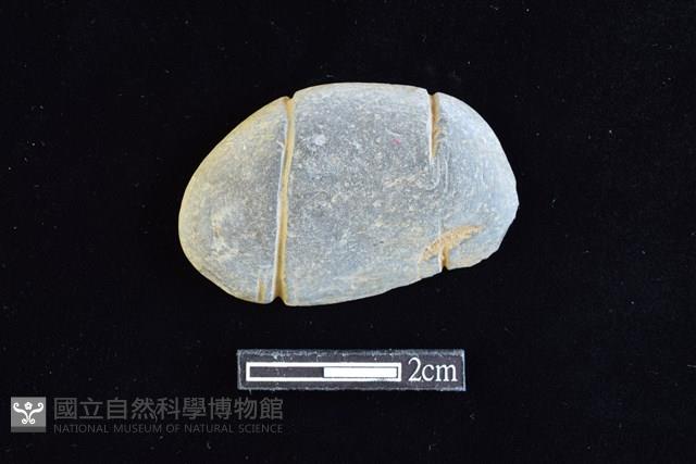 網墜藏品圖，第1張