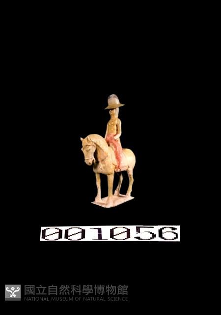 黃釉加彩人騎馬戴帽女士藏品圖，第1張