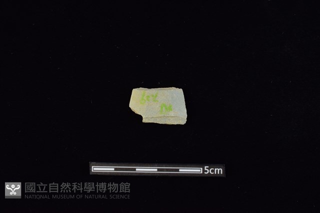 矛鏃形器藏品圖，第1張