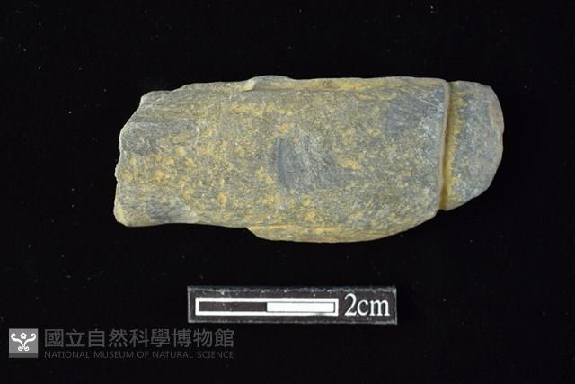 網墜藏品圖，第1張