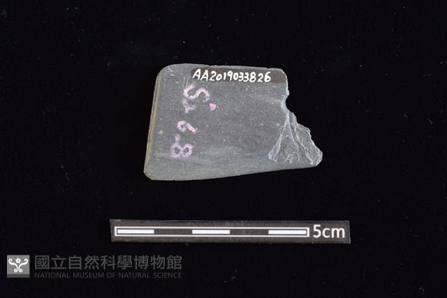 矛鏃形器藏品圖，第1張