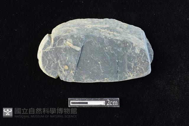 網墜藏品圖，第1張