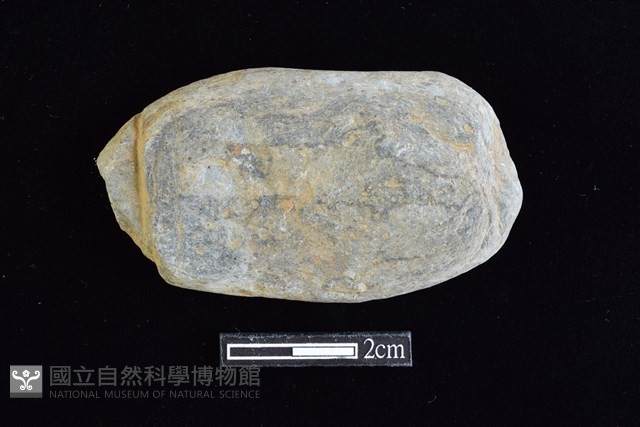 網墜藏品圖，第1張