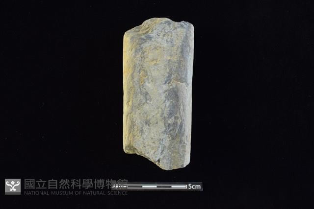 石材藏品圖，第1張