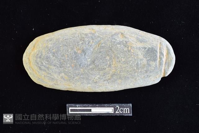 網墜藏品圖，第1張