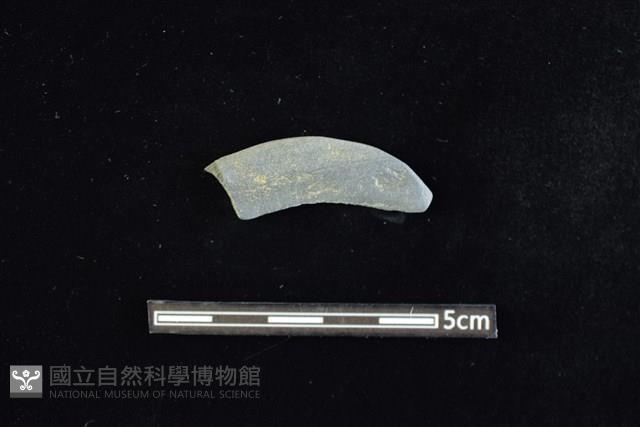 石鐮藏品圖，第1張