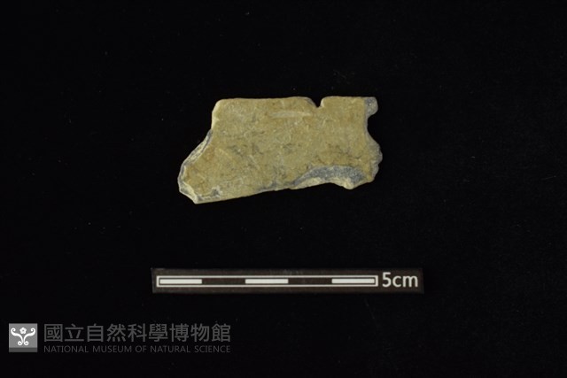 石材藏品圖，第1張