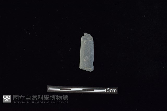 矛鏃形器藏品圖，第1張