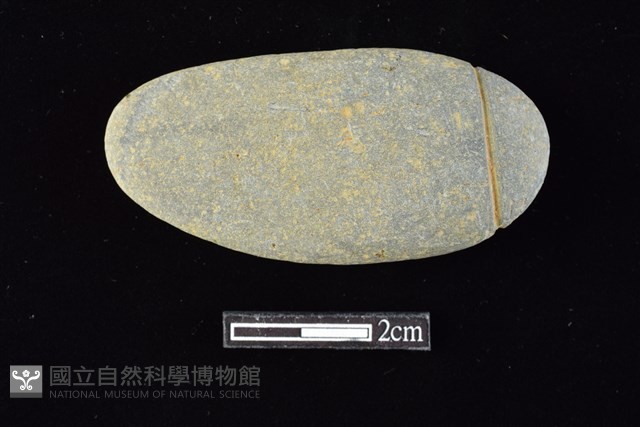 網墜藏品圖，第1張