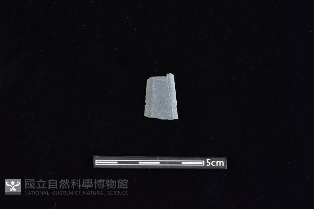 矛鏃形器藏品圖，第1張