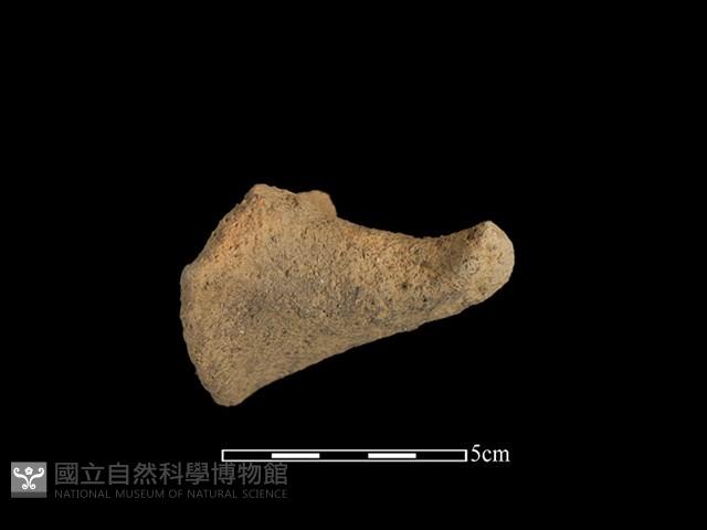 陶耳藏品圖，第1張