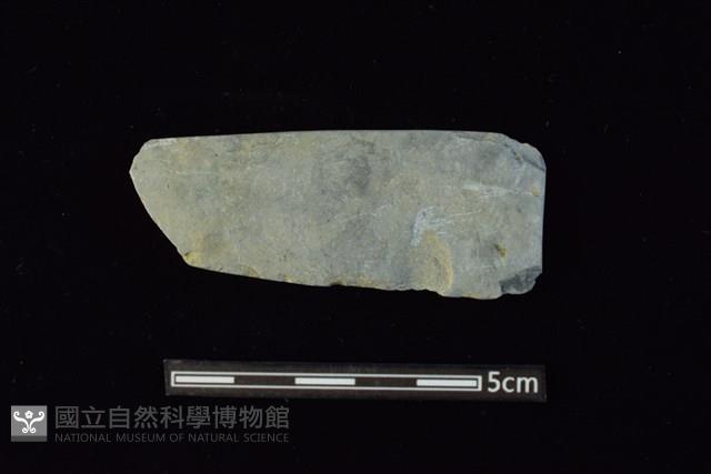 矛鏃形器藏品圖，第1張