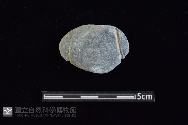 網墜藏品圖，第1張