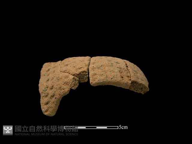 陶把藏品圖，第1張