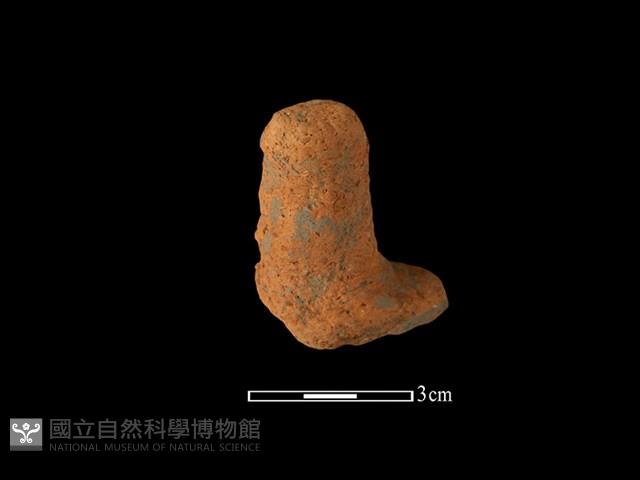 陶蓋鈕藏品圖，第1張