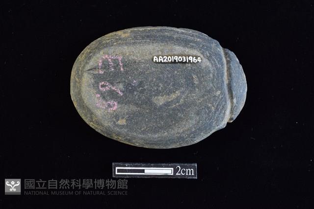 網墜藏品圖，第1張