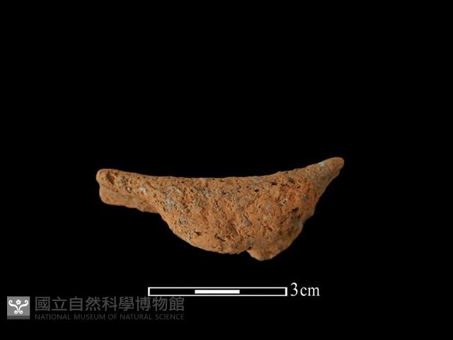 陶耳藏品圖，第1張