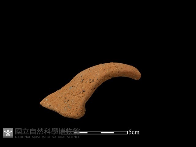 陶把藏品圖，第1張