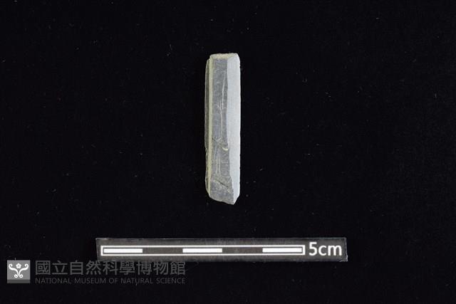 矛鏃形器藏品圖，第1張