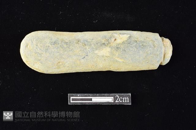 網墜藏品圖，第1張