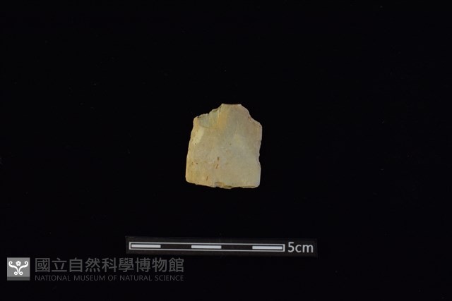 矛鏃形器藏品圖，第1張