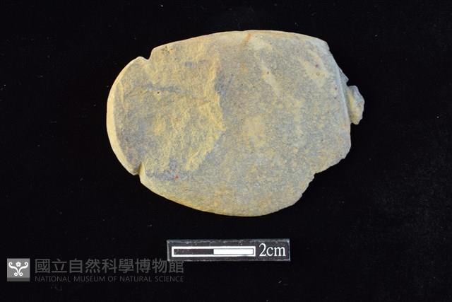 網墜藏品圖，第1張