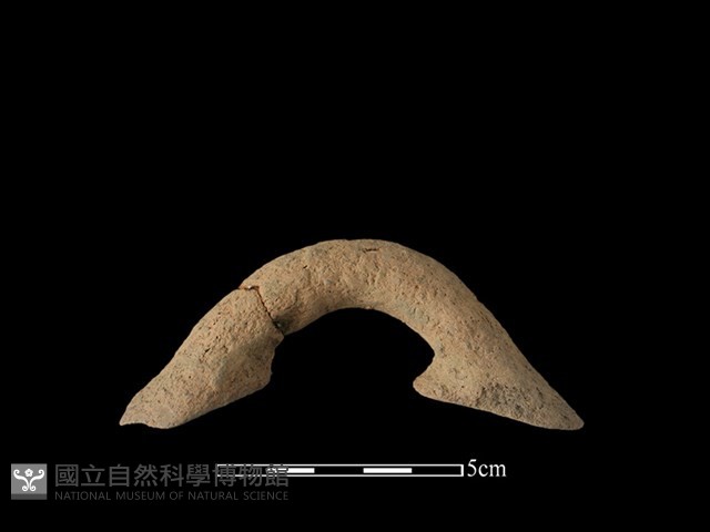 陶把藏品圖，第1張