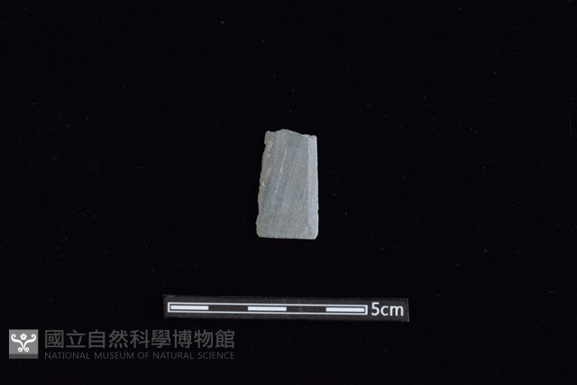 矛鏃形器藏品圖，第1張