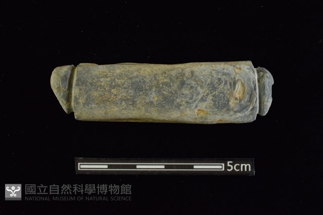 網墜藏品圖，第1張