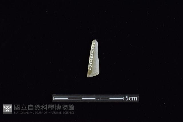 矛鏃形器藏品圖，第1張