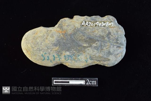 網墜藏品圖，第1張