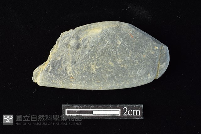 網墜藏品圖，第1張