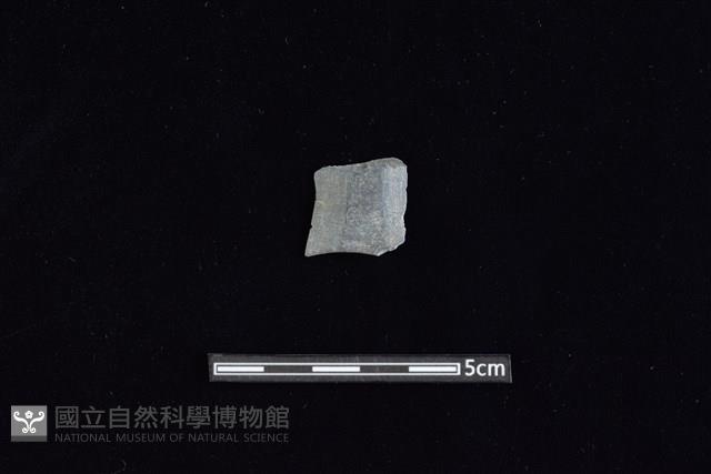 矛鏃形器藏品圖，第1張