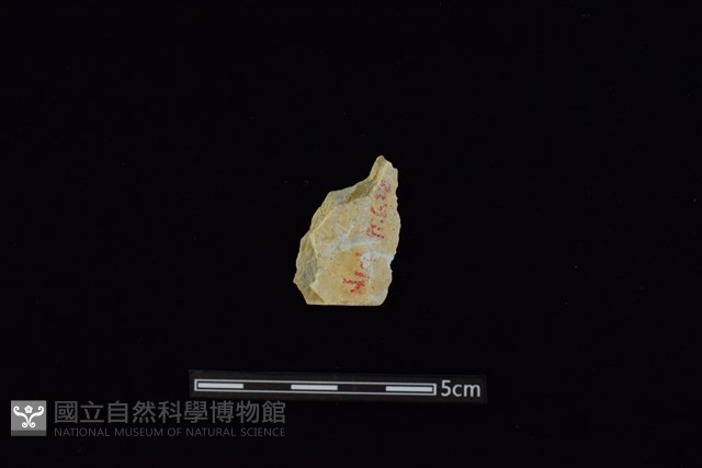 矛鏃形器藏品圖，第1張