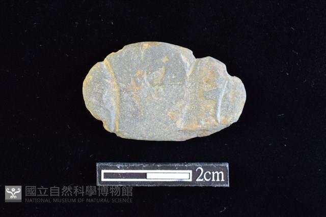 網墜藏品圖，第1張