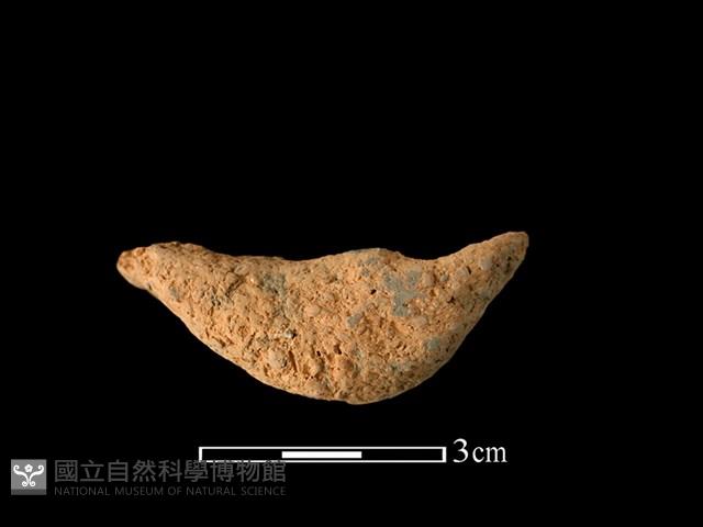 陶耳藏品圖，第1張