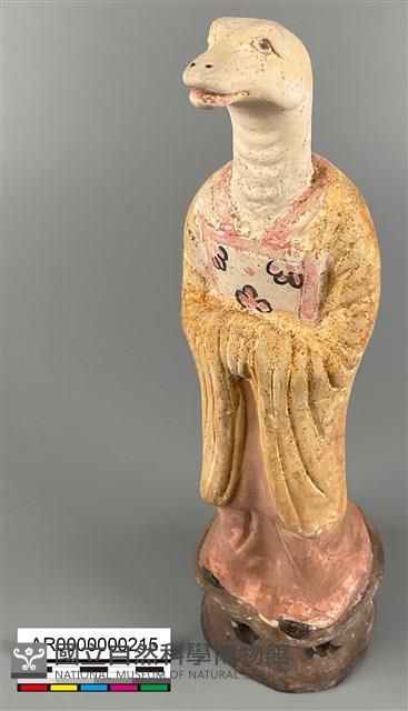 加彩蛇甬藏品圖，第1張