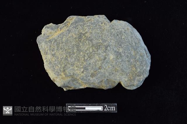 網墜藏品圖，第1張